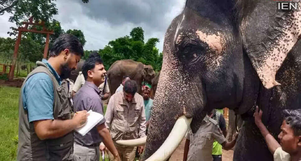 Madhya Pradesh Government Jobs: 1,679 Vacancies in Forest and Jail Departments