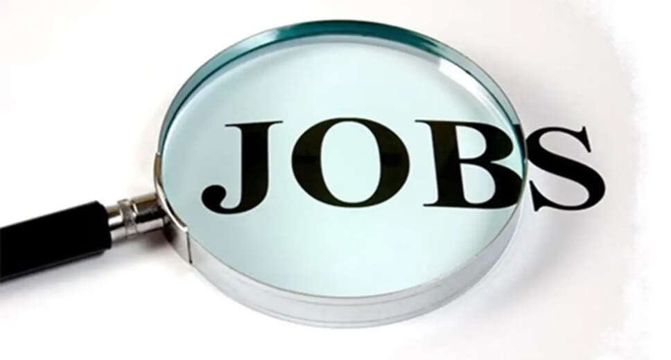 Exciting Consultant Job Openings Under the 8th Pay Commission