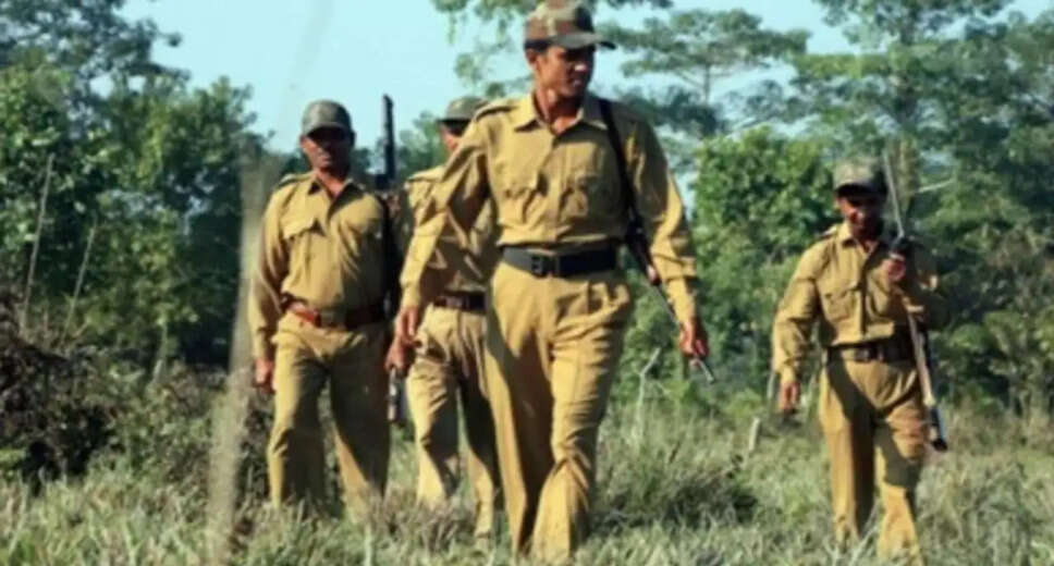 Exciting Job Opportunities in UP Forest Department: 708 Positions Available