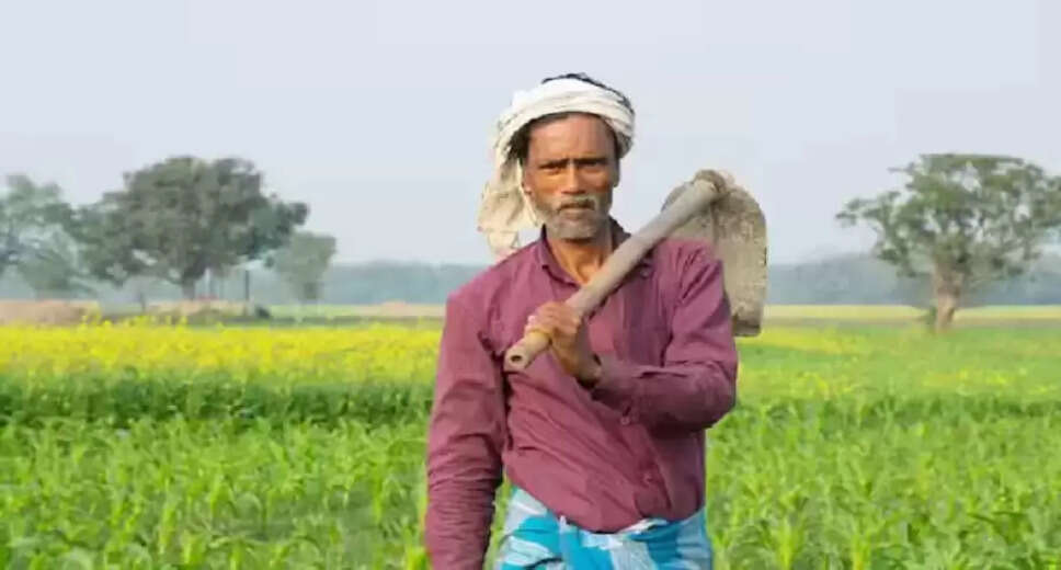 Bihar Election Results Spark Optimism for Farmers with Potential Income Boost