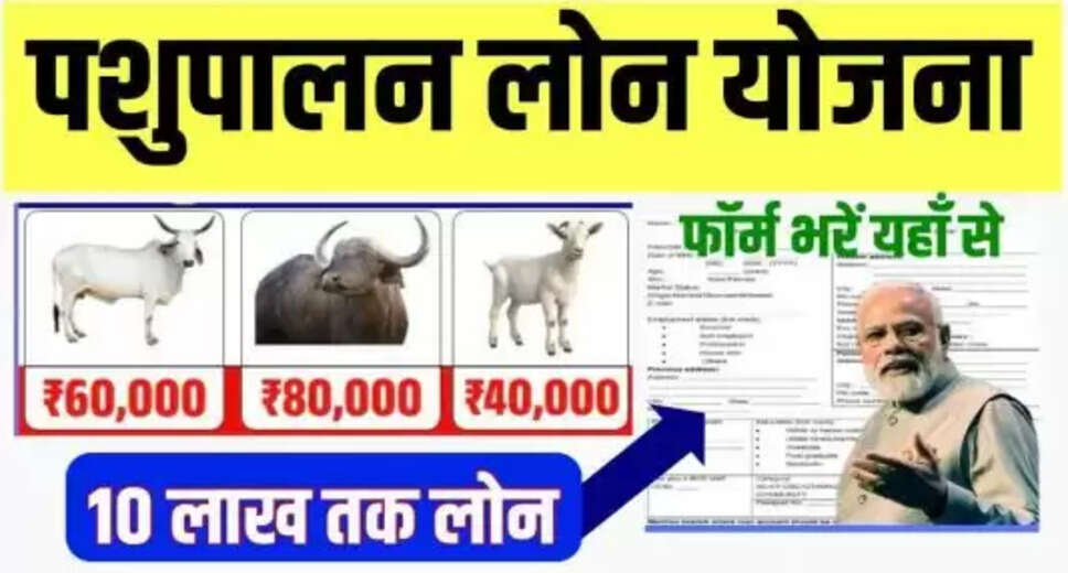 Pashupalan Loan Yojana: A Guide to Livestock Financing