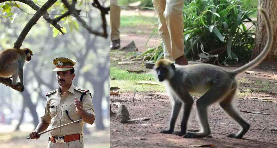 Delhi Assembly Tackles Monkey Menace with Innovative Solution