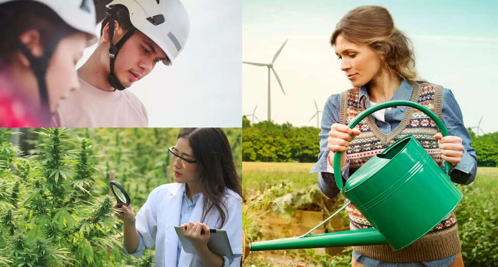Exploring Career Opportunities in Environmental Studies