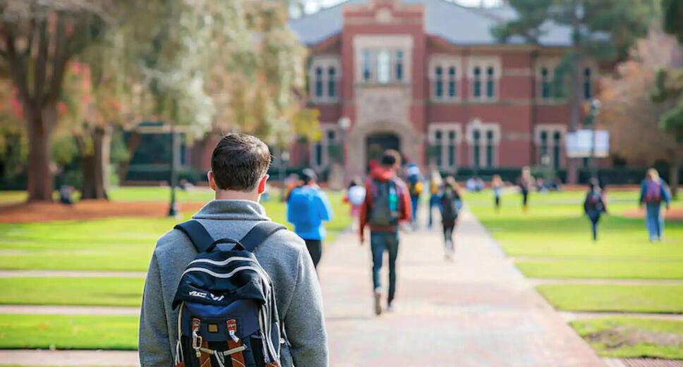 Understanding the Differences Between Colleges and Universities in the USA