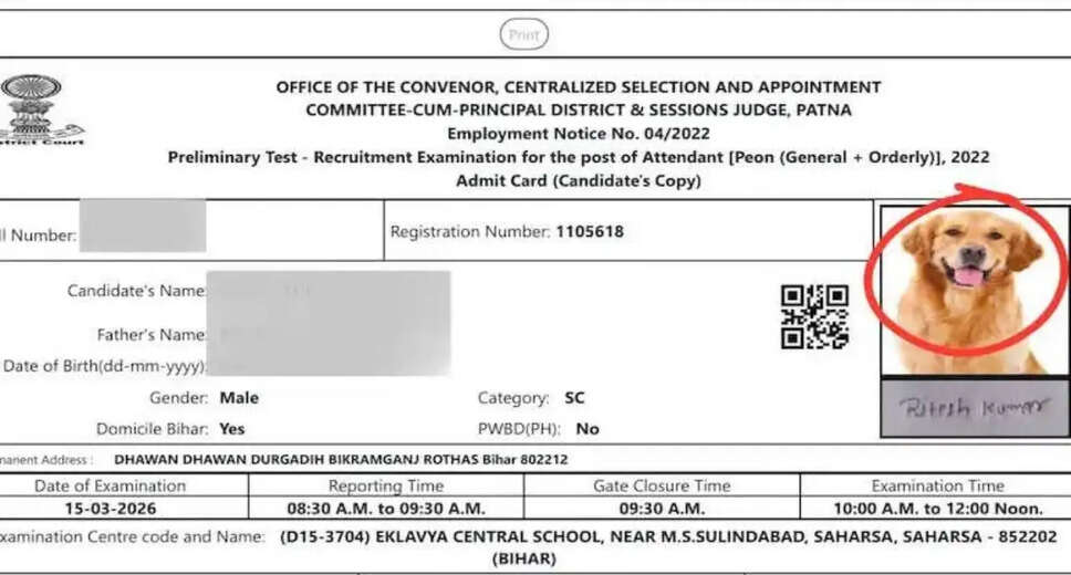 Bizarre Incident: Admit Card Features Dog's Photo Instead of Candidate's