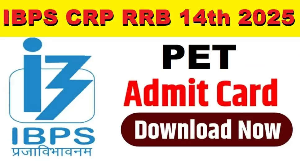 Download Your IBPS RRB XIV Office Assistant Pre Admit Card 2025 Now