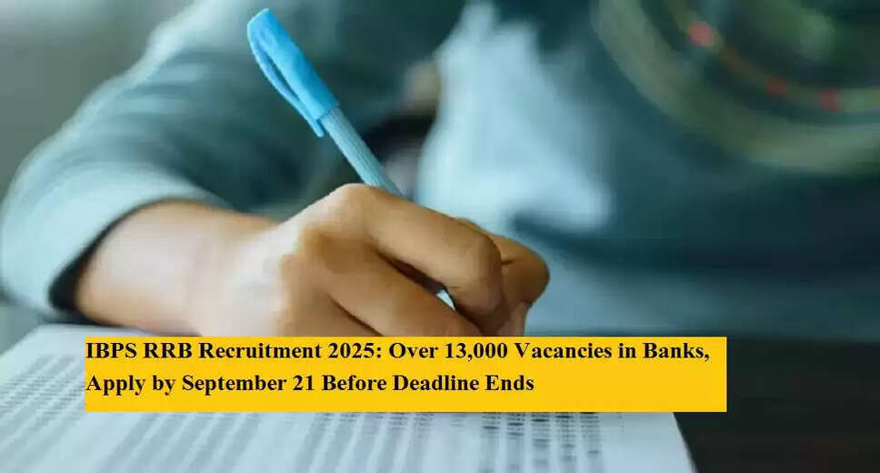 IBPS RRB Recruitment 2025: Over 13,000 Vacancies Announced