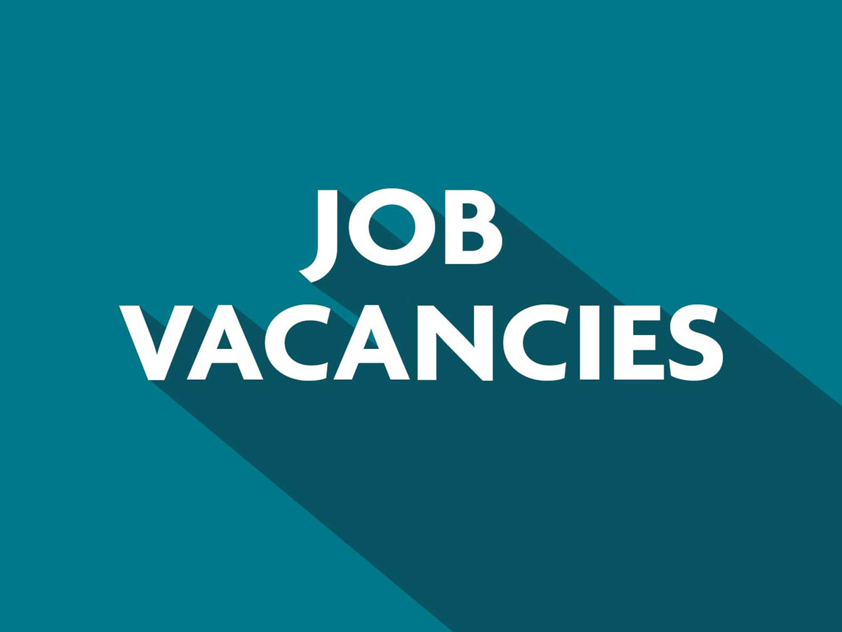 naukrinama.com - Exciting Opportunity for Fresh Graduates: Management Trainee Positions at LIC Housing Finance