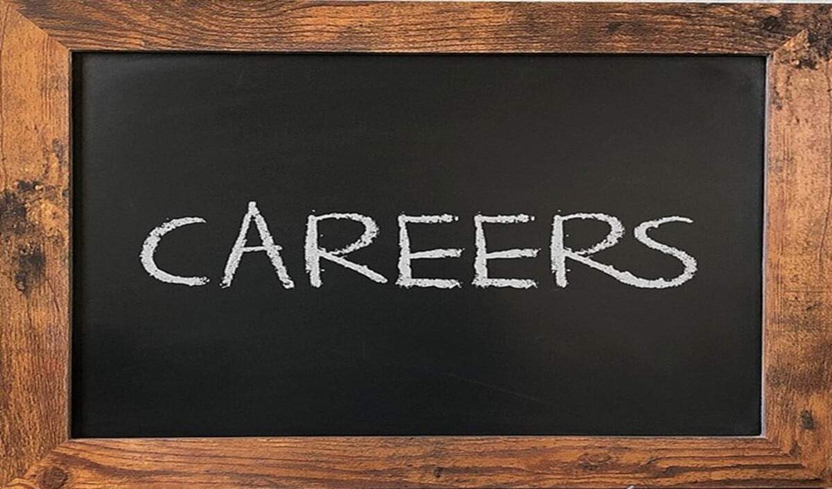 naukrinama.com - Exploring Career Opportunities in the Growing Insurance Sector