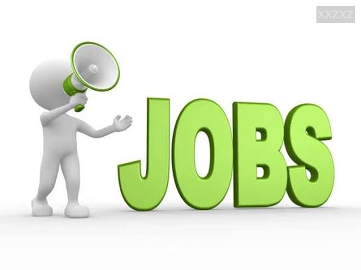 naukrinama.com - PMBI Recruitment: 178 Contractual Positions Available Across Various Departments