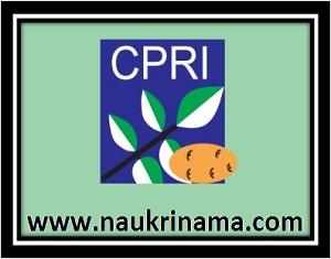 CPRI Recruitment 2023: Monthly Salary up to 142400, 99 Vacancies, Check  Posts, Age, Qualification, How to Apply