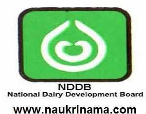 Dr L Murugan, Union Minister of State for FAHD, lays foundation stone for  NDDB-sanctioned Solar Power plant at Ernakulam Dairy - IndiaDairy