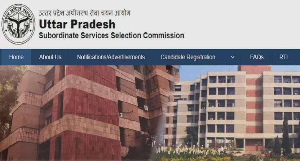 UPSSSC VPO, VDO, and Social Welfare Supervisor 2024 – Final Results Declared