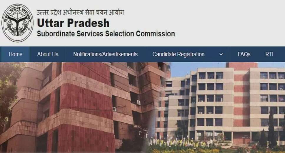 UPSSSC Instructor Admit Card 2024 Released – Access Your Document Verification Call Letter