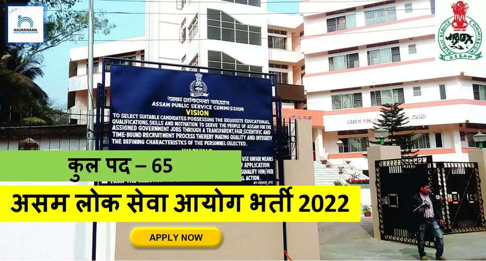 Eligible and interested candidates may apply online in the prescribed format of application along with self-restrictive copies of education and other qualification, date of birth, and other necessary information and documents and send them before the due date.