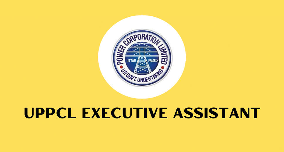 UPPCL Result 2023 Declared: Uttar Pradesh Power Corporation Limited has declared the result of Executive Associate Exam (UPPCL Result 2023). All the candidates who have appeared in this examination (UPPCL Exam 2023) can see their result (UPPCL Result 2023) by visiting the official website of UPPCL upenergy.in. This recruitment (UPPCL Recruitment 2023) examination was held on January 2023.    Apart from this, candidates can also see the result of UPPCL Results 2023 (UPPCL Result 2023) directly by clicking on this official link upenergy.in. Along with this, you can also see and download your result (UPPCL Result 2023) by following the steps given below. Candidates who clear this exam have to keep checking the official release issued by the department for further process. The complete details of the recruitment process will be available on the official website of the department.    Exam Name – UPPCL Executive Assistant Exam 2023  Date of conduct of examination – January 2023  Result declaration date – January 29, 2023  UPPCL Result 2023 - How to check your result?  1. Open the official website of UPPCL upenergy.in.  2.Click on the UPPCL Result 2023 link given on the home page.  3. On the page that opens, enter your roll no. Enter and check your result.  4. Download the UPPCL Result 2023 and keep a hard copy of the result with you for future need.  For all the latest information related to government exams, you visit naukrinama.com. Here you will get all the information and details related to the results of all the exams, admit cards, answer keys, etc.
