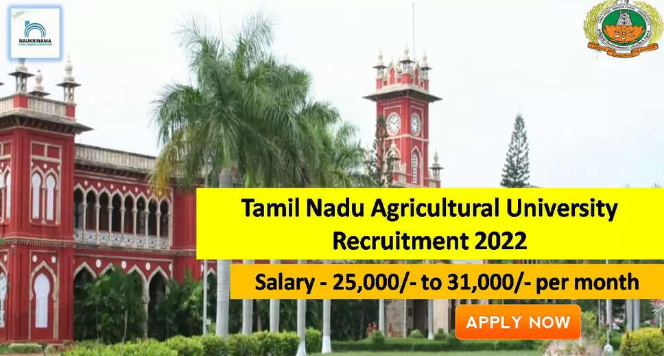 TNAU,Tamil Nadu Agricultural University,TNAU Recruitment,TNAU Recruitment 2022,TNAU Apply Online, TNAU Recruitment 2022 Notification, TNAU Vacancy, TNAU Vacancy 2022, TNAU Jobs, TNAU Jobs 2022, tnau.ac.in,tnau.ac.in Recruitment 2022, TNAU careers, tnau.ac.in 2022