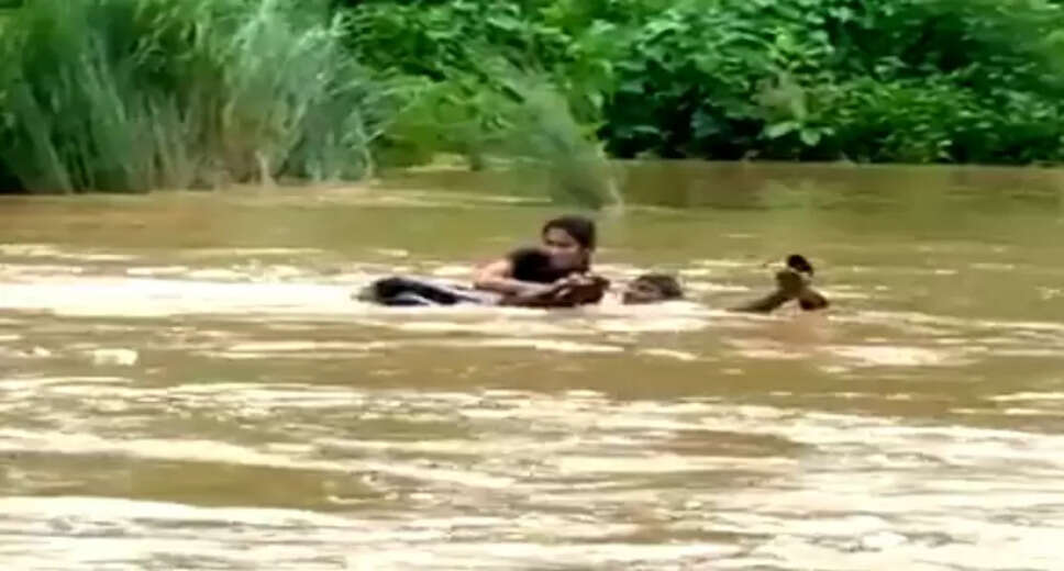 Watch: Risking her life, Andhra girl swims through the swollen river to appear for exam