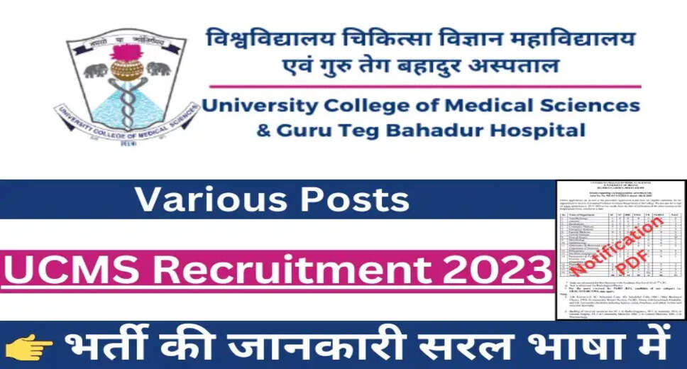 UCMS Delhi Recruitment 2024 for Assistant, DEO & Other Posts - Apply Online