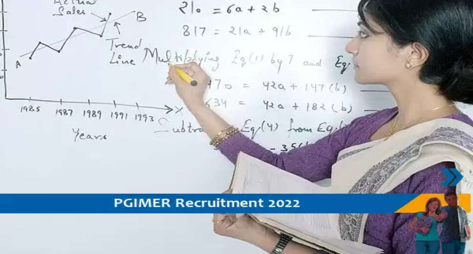 PGIMEER