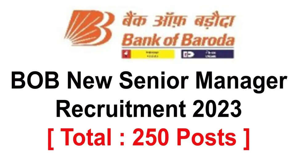 BOB Recruitment Drive: 250 Openings for MSME Relationship Senior Managers - Apply Now!