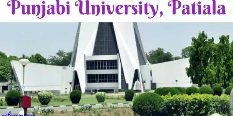 Punjabi University Result 2024 Released – Download UG, PG Marksheet PDF Here