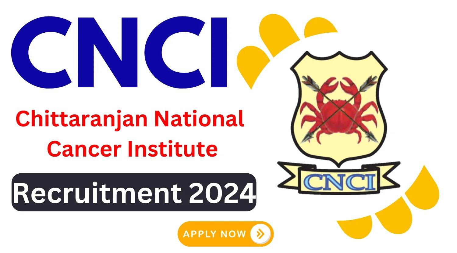 CNCI Recruitment 2024: Available Posts, Qualifications, and Application Process