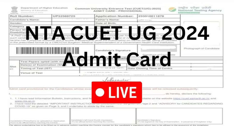 CUET UG Admit Card 2024 Out: Step-by-Step Guide to Download Your Hall Ticket
