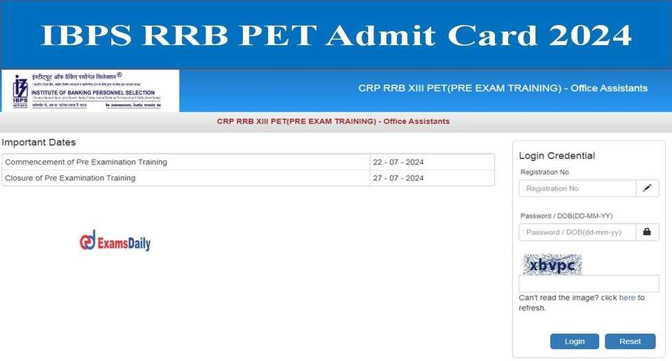 IBPS CRP RRB XIII 2024 Admit Card: Download Your Online Preliminary Exam Call Letter