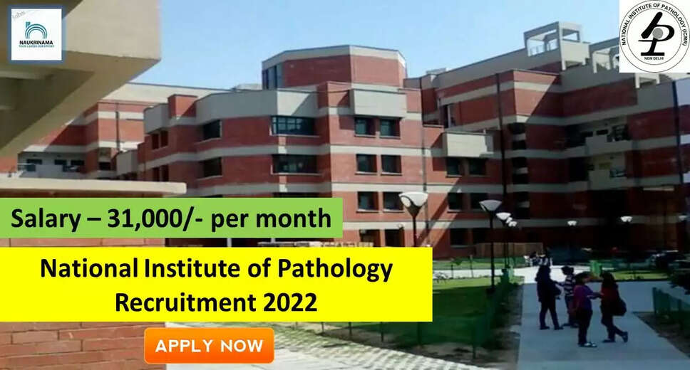 Government Jobs 2022 - National Institute of Pathology (NIP) has invited applications from young and eligible candidates to fill the post of Junior Research Fellow. If you have obtained a master's degree in life science and you are looking for government jobs for many days, then you can apply for these posts. Important Dates and Notifications – Post Name - Junior Research Fellow Total Posts – 1 Last Date – 03 October 2022 Location - New Delhi National Institute of Pathology (NIP) Post Details 2022 Age Range - The maximum age of the candidates will be 28 years and age relaxation will be given to the reserved category. salary - The candidates who will be selected for these posts will be given a salary of 31,000/- per month. Qualification - Candidates should have a master's degree in life science from any recognized institute and have experience in the relevant subject. Selection Process Candidate will be selected on the basis of written examination. How to apply - Eligible and interested candidates may apply online on prescribed format of application along with self restrictive copies of education and other qualification, date of birth and other necessary information and documents and send before due date. Official site of National Institute of Pathology (NIP) Download Official Release From Here Get information about more government jobs in New Delhi from here