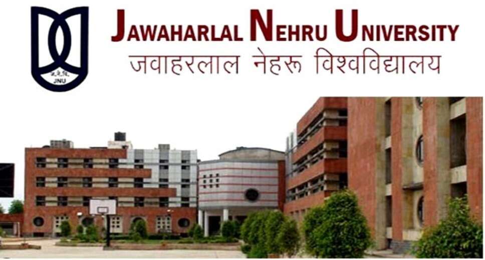 JNU Recruitment 2023 Apply Online Senior Consultant Posts