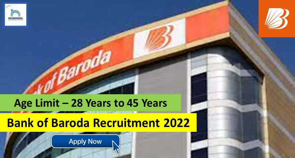 BOB Recruitment 2022 - Apply Online for 8 Head Merchant Acquiring Business, Digital Partnership @ bankofbaroda.in