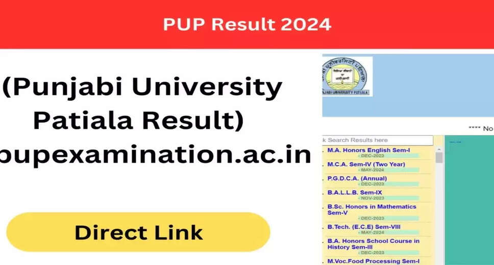Punjabi University Result 2024 Released – Download UG, PG Marksheet PDF Here