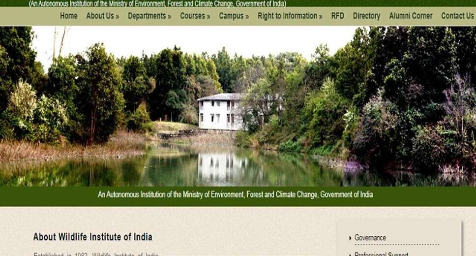 The Wildlife Institute of India (WII) has announced a notification for the recruitment of Project Associate, Field Worker, and Other Vacancies. Eligible candidates who are interested in the vacancy details and have completed all eligibility criteria can read the notification and attend the walk-in interview.
