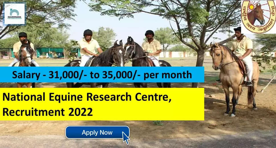 NRCE Recruitment 2022 - Walk-in Interview for 2 Senior Research Fellow Posts