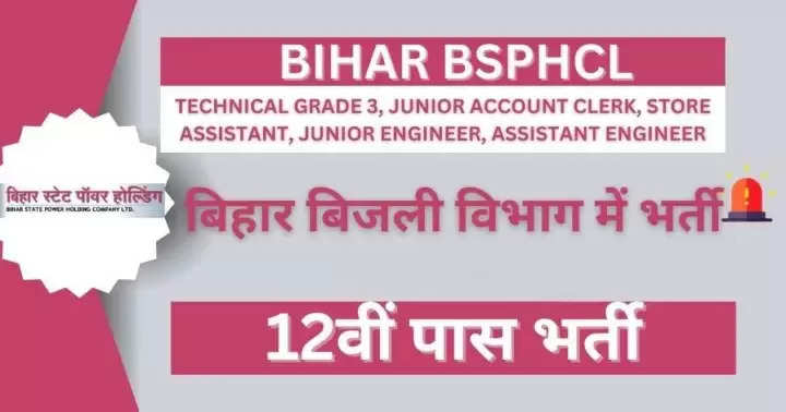 BSPHCL Patna Various Posts Recruitment 2024 - Apply Now