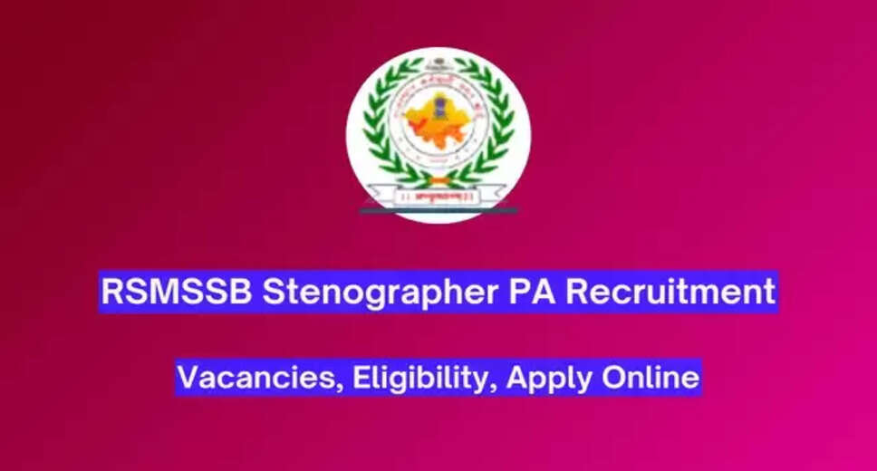 RSMSSB Stenographer/ Personal Assistant Grade-II Exam Date 2024 Announced