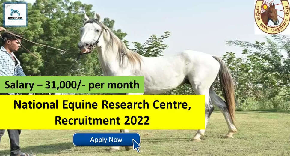 NRCE Recruitment 2022: A great opportunity has come out to get a job (Sarkari Naukri) in the National Research Center on Horses (NRCE). NRCE has invited applications to fill the posts of Senior Research Fellow (NRCE Recruitment 2022). Interested and eligible candidates who want to apply for these vacant posts (NRCE Recruitment 2022) can apply by visiting the official website of NRCE http://nrce.gov.in/. The last date to apply for these posts (NRCE Recruitment 2022) is 27 September. Apart from this, candidates can also directly apply for these posts (NRCE Recruitment 2022) by clicking on this official link http://nrce.gov.in/. If you want more detail information related to this recruitment, then you can view and download the official notification (NRCE Recruitment 2022) through this link NRCE Recruitment 2022 Notification PDF. A total of 1 posts will be filled under this recruitment (NRCE Recruitment 2022) process. Important Dates for NRCE Recruitment 2022 Starting date of online application - 15 September Last date to apply online - 27 September NRCE Recruitment 2022 Vacancy Details Total No. of Posts- 1 Eligibility Criteria for NRCE Recruitment 2022 Masters Degree in Pathology, Microbiology, Life Sciences, Immunology / Post Graduate Degree in Basic Sciences Age Limit for NRCE Recruitment 2022 Candidates age limit should be between 35 years. Salary for NRCE Recruitment 2022 31,000/- per month Selection Process for NRCE Recruitment 2022 Selection Process Candidate will be selected on the basis of written examination. How to Apply for NRCE Recruitment 2022 Interested and eligible candidates can apply through official website of NRCE (http://nrce.gov.in/) latest by 27 September 2022. For detailed information regarding this, you can refer to the official notification given above. If you want to get a government job, then apply for this recruitment before the last date and fulfill your dream of getting a government job. You can visit naukrinama.com for more such latest government jobs information.