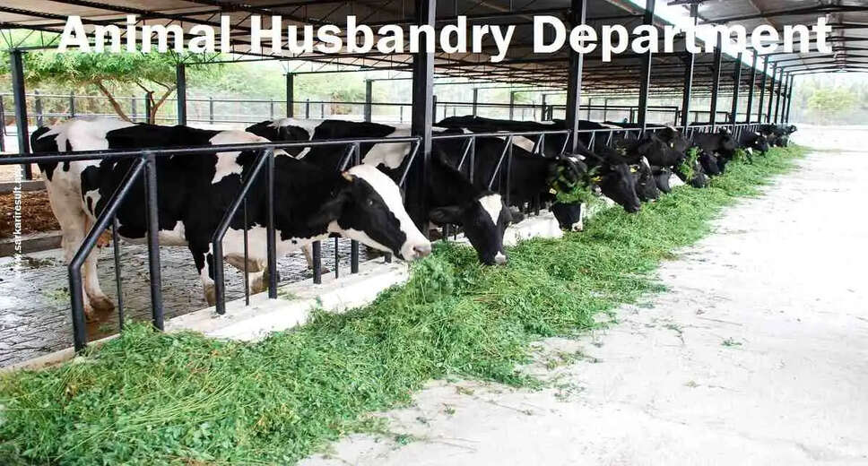 AP Animal Husbandry Department Releases Recruitment for 1896 Animal Husbandry Assistant Posts