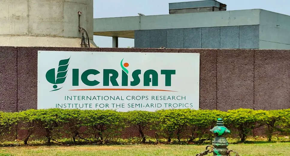 ICRISAT Recruitment 2023: Apply for Officer Vacancy in Hyderabad    ICRISAT (International Crops Research Institute for the Semi-Arid Tropics) has released a notification for the recruitment of Officer vacancies. Interested candidates who meet the required qualifications can apply online before the last date of 24/03/2023. In this blog post, we will discuss the ICRISAT Recruitment 2023 in detail, including eligibility criteria, vacancy count, salary, job location, and how to apply.  ICRISAT Recruitment 2023 Vacancy Details  ICRISAT is looking for candidates to fill 1 job opening for Officer vacancies in Hyderabad. The selected candidates will get a pay scale of Not Disclosed.  Qualification for ICRISAT Recruitment 2023  Only candidates who meet the minimum qualifications are eligible to apply for the Officer vacancies. The qualification for ICRISAT Recruitment 2023 is Any Masters Degree. After reviewing the qualifications required for the ICRISAT recruitment 2023, you may move on to the next step of determining how to apply for the position and submitting your application before the deadline.  Job Location for ICRISAT Recruitment 2023  The ICRISAT Recruitment 2023 Notifications have been released with 1 vacancy in Hyderabad. The firm mostly hires a candidate when he/she is ready to serve in the preferred location.  ICRISAT Recruitment 2023 Apply Online Last Date  ICRISAT invites candidates for Officer vacancies, and the last date to apply is 24/03/2023.  Steps to Apply for ICRISAT Recruitment 2023  Candidates who wish to apply for ICRISAT Recruitment 2023 must complete the application process before 24/03/2023. Here we have attached the complete procedure to apply for the ICRISAT Recruitment 2023 along with the application link.  Go to the ICRISAT official website icrisat.org  In the official site, look out for ICRISAT Recruitment 2023 notification  Select the respective post and make sure to read all the details about the Officer, qualifications, job location, and others  Check the mode of application and apply for the ICRISAT Recruitment 2023