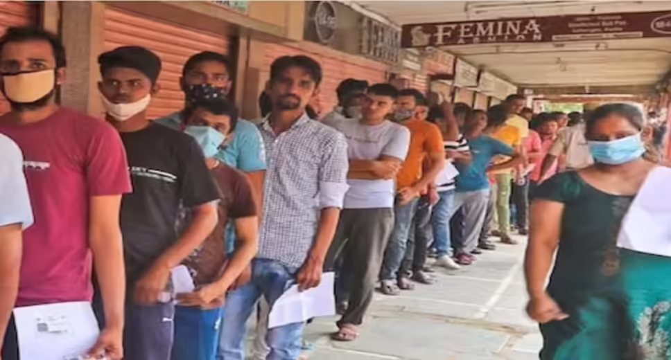 IBPS RRB Clerk Admit Card 2023 Released at ibps.in, How to Download