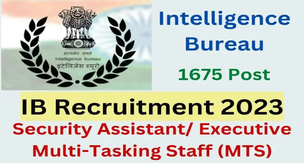 IB Final Result 2023 Released: Check Merit List for SA and MTS Posts
