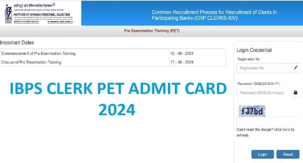 Download IBPS CRP Clerk XIV 2024 Admit Card for Preliminary Exam Online