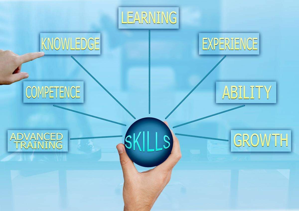 From classrooms to careers: Impact of skill development in higher education