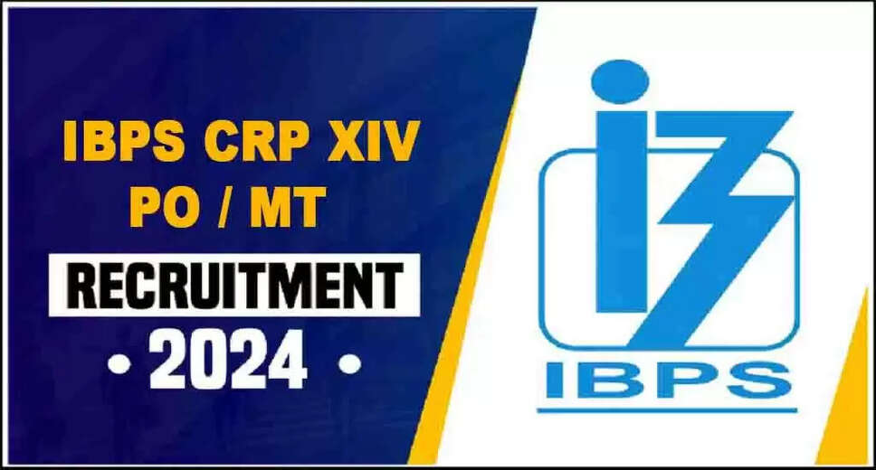 IBPS PO Recruitment 2024 Notification Out: Apply Online for 3049 PO/MT Posts