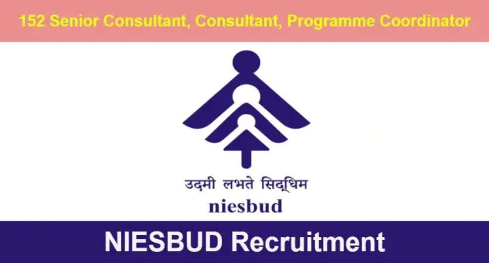 NIESBUD Career Bonanza! 152 Senior Consultant, Project Consultant & More Posts Up for Grabs