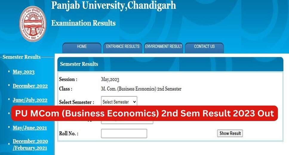 Punjab University Result 2023 Out: Check Your Results Now