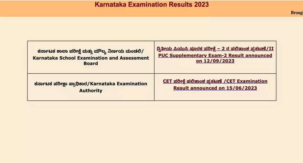 Karnataka PUC I Results 2024 Out: Check What Comes Next