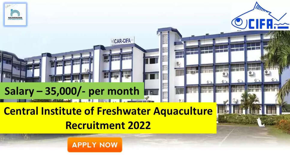 CIFA Recruitment 2022: A great opportunity has come out to get a job (Sarkari Naukri) in Central Institute of Freshwater Aquaculture (CIFA). CIFA has invited applications to fill the posts of Young Professional-II (CIFA Recruitment 2022). Interested and eligible candidates who want to apply for these vacant posts (CIFA Recruitment 2022) can apply by visiting the official website of CIFA at cifa.nic.in. The last date to apply for these posts (CIFA Recruitment 2022) is 30 September. Apart from this, candidates can also directly apply for these posts (CIFA Recruitment 2022) by clicking on this official link cifa.nic.in. If you want more detail information related to this recruitment, then you can see and download the official notification (CIFA Recruitment 2022) through this link CIFA Recruitment 2022 Notification PDF. A total of 1 posts will be filled under this recruitment (CIFA Recruitment 2022) process. Important Dates for CIFA Recruitment 2022 Starting date of online application - 17 September Last date to apply online - 30 September CIFA Recruitment 2022 Vacancy Details Total No. of Posts- 1 Eligibility Criteria for CIFA Recruitment 2022 MF, Sc/ MSc in Zoology/ Life Science/ Aquaculture Age Limit for CIFA Recruitment 2022 Candidates age limit should be between 21 to 45 years. Salary for CIFA Recruitment 2022 35,000/- per month Selection Process for CIFA Recruitment 2022 Selection Process Candidate will be selected on the basis of written examination. How to Apply for CIFA Recruitment 2022 Interested and eligible candidates can apply through official website of CIFA (cifa.nic.in) latest by 30 September 2022. For detailed information regarding this, you can refer to the official notification given above. If you want to get a government job, then apply for this recruitment before the last date and fulfill your dream of getting a government job. You can visit naukrinama.com for more such latest government jobs information.
