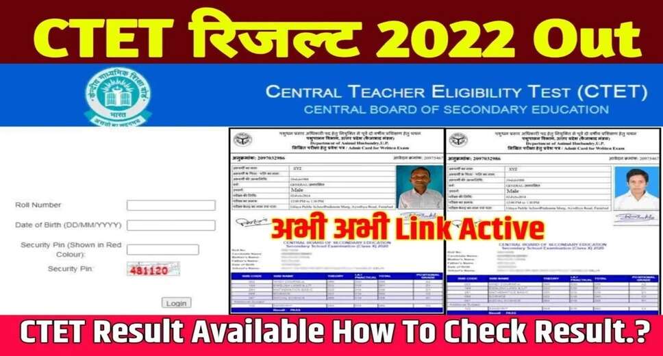 CBSE Announces CTET August 2023 Results: 16.80% Pass Rate, What's Next for Aspiring Educators?